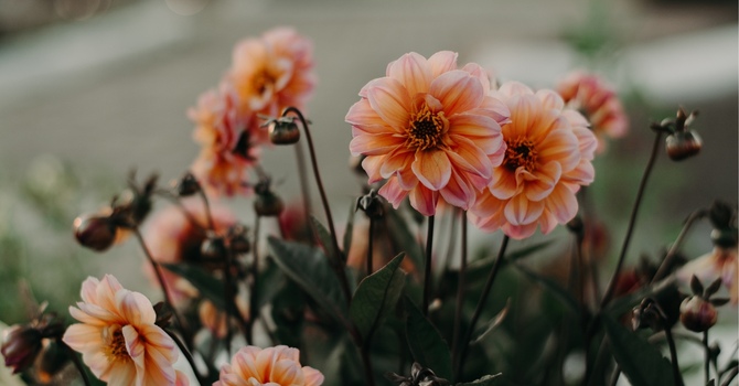 Before You Blame Yourself and Feel Guilty...