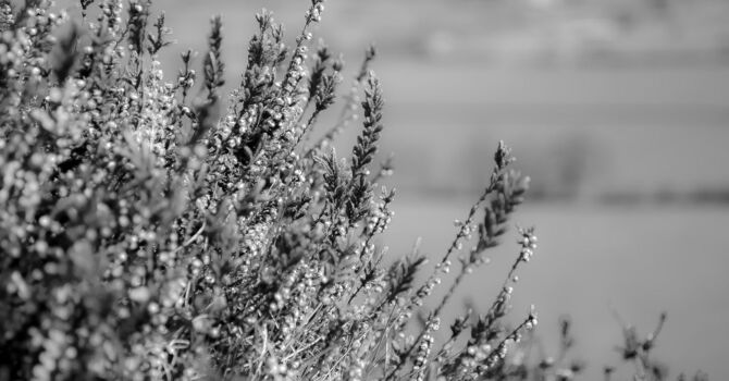 “Why Does My Partner Shut Down During Conflict?”