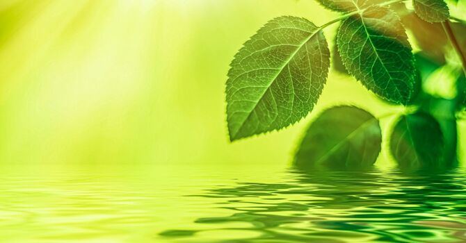 5 Simple Communication Tips for Struggling Couples image