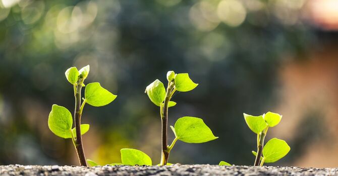 Helping Teens Thrive Through Recreation Therapy image