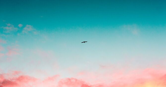 “Why Does My Partner Shut Down During Conflict?”