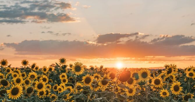 What to Expect in Your First Therapy Session image