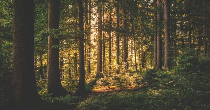 The Power of Perspective: How to Take A "Reflective Stance"